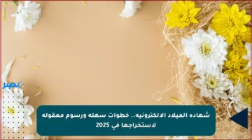 شهادة الميلاد الإلكترونية.. خطوات سهلة ورسوم معقولة لاستخراجها في 2025